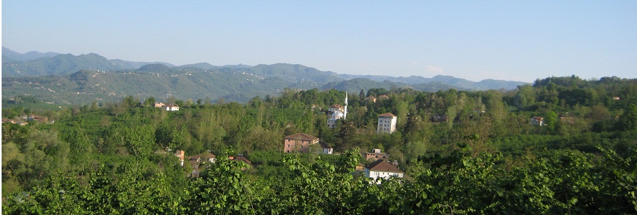 IMG_671811.jpg